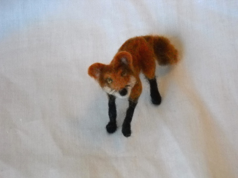 Little Fox