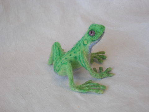Dancin’ Froggie
