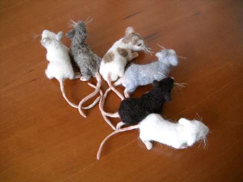 Mouse Litter 10: The Right-Sized Mice