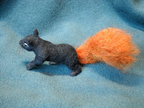Red-Tailed Black Squirrel