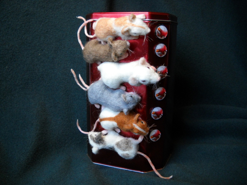 Mouse Litter 11: The Magnetic Mice