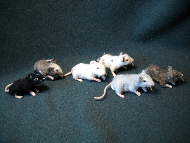Mouse Litter 16 – The Left-Handed Mice