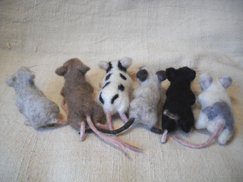 Mouse Litter 17 – The Truly Fancy Mice