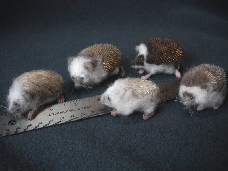 More Hedgehogs