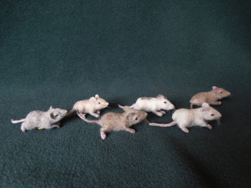 Mouse Litter 20 – The Mini Mousies