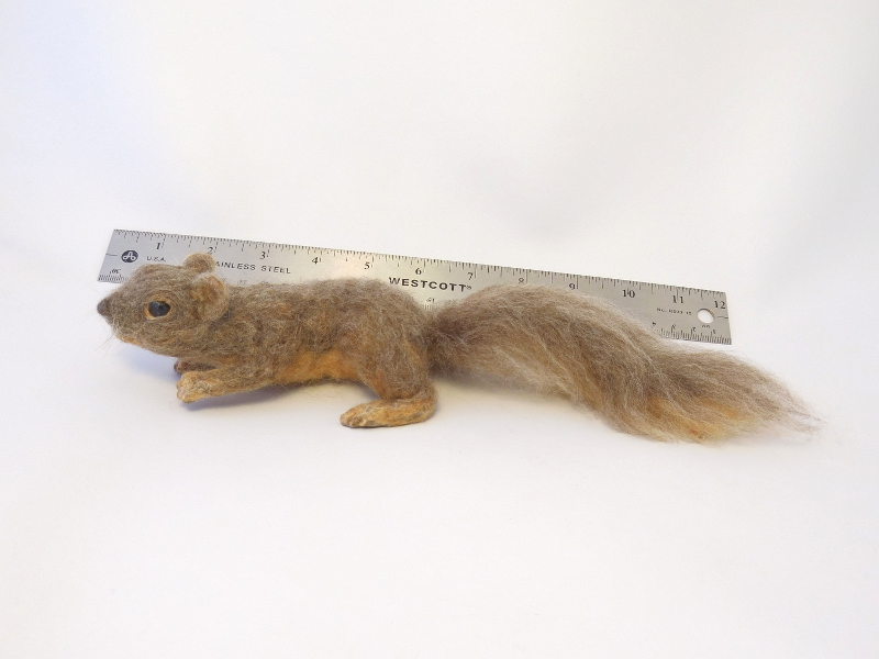 Fox Squirrel 4