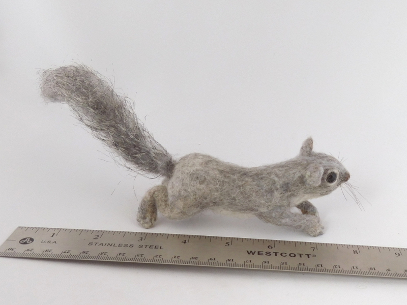 Gray Squirrel – Silktail 1