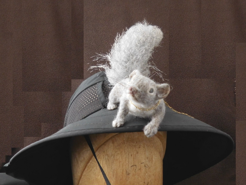 Gray Squirrel – Silktail 2