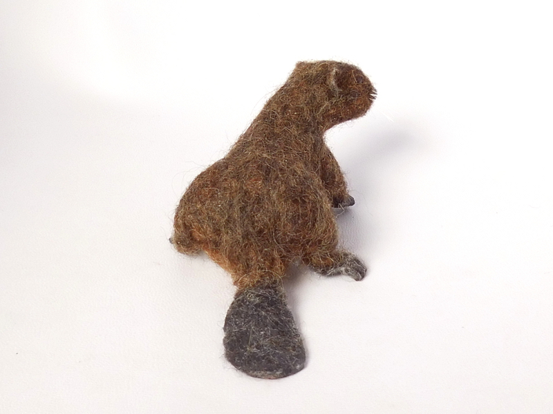 Beaver 3 – Springtail