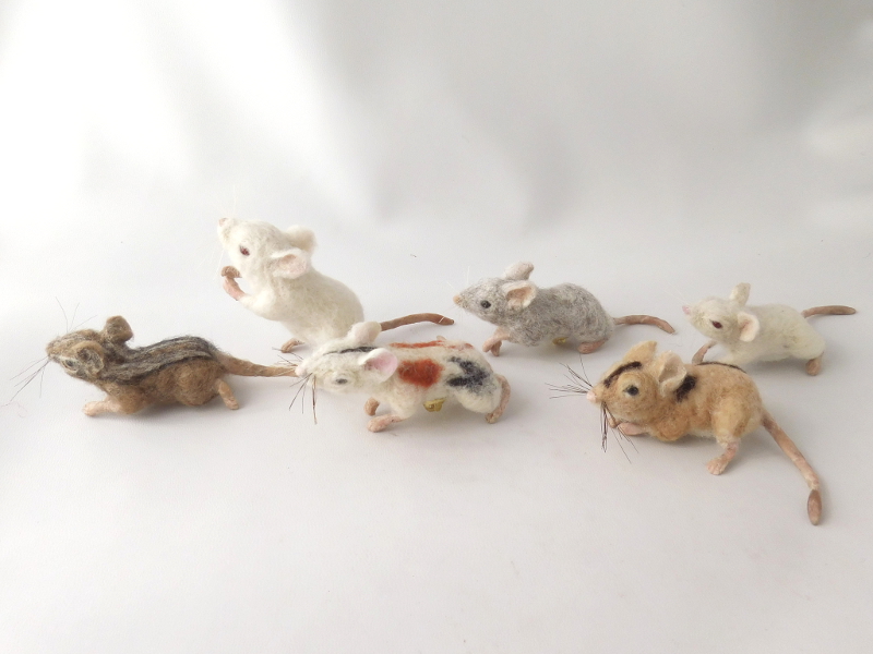 Mouse Litter 23 – Rebuilding the Population