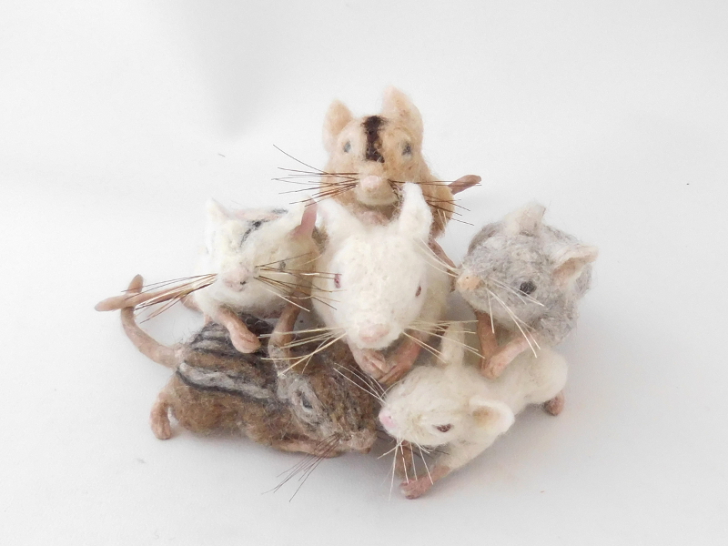 Mouse Litter 23 – Rebuilding the Population