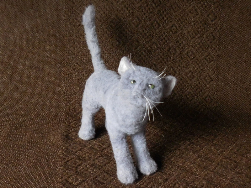 Russian Blue kitten