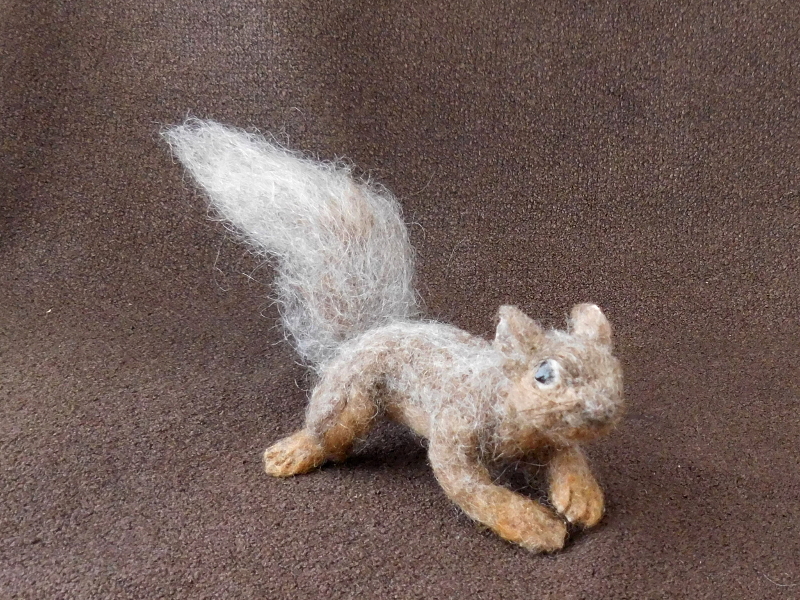 Baby Fox Squirrel 3