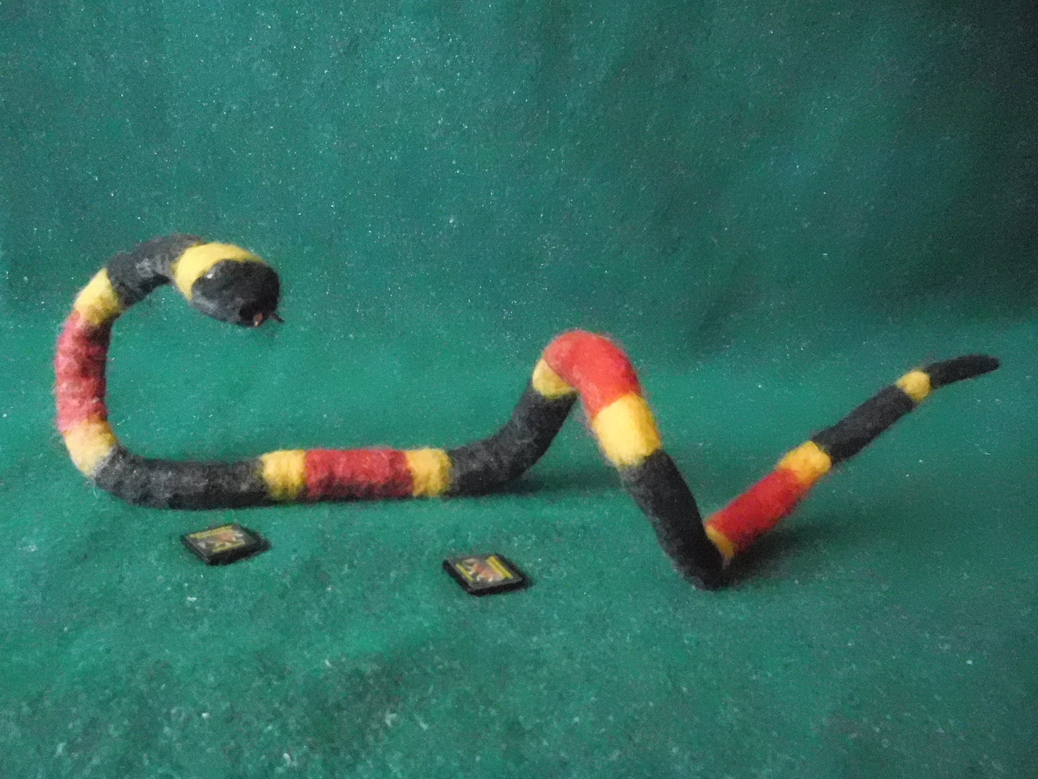 Coral Snake